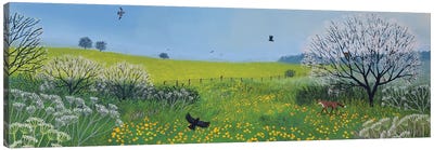 Buttercups And Blossom Canvas Art Print - Field, Grassland & Meadow Art