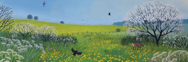 Buttercups And Blossom by Jo Grundy wall art