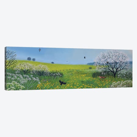 Buttercups And Blossom Canvas Print #JOG118} by Jo Grundy Art Print
