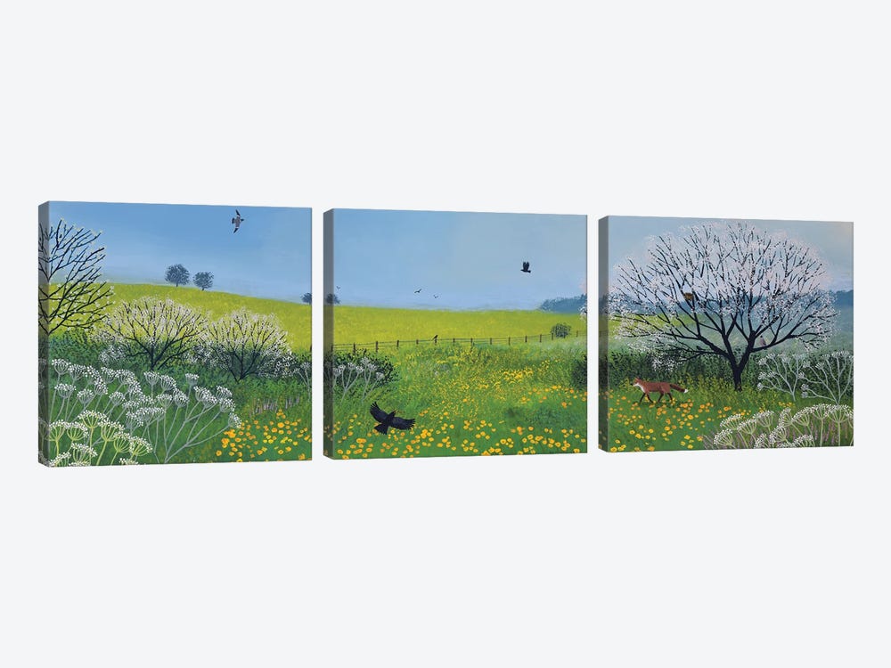 Buttercups And Blossom by Jo Grundy 3-piece Canvas Wall Art