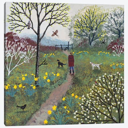 The Path To The Stile Canvas Print #JOG122} by Jo Grundy Canvas Artwork