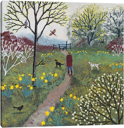 The Path To The Stile Canvas Art Print - Jo Grundy