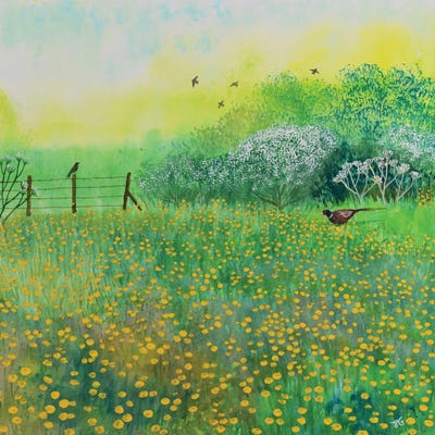 By Buttercup Meadow by Jo Grundy framed canvas print