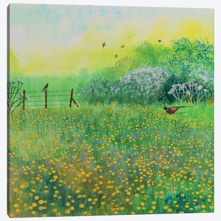 By Buttercup Meadow Canvas Print #JOG123} by Jo Grundy Canvas Wall Art