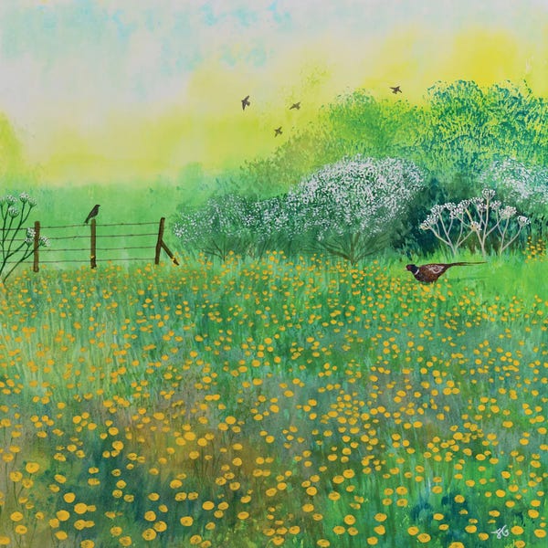 Jo Grundy: By Buttercup Meadow by Jo Grundy