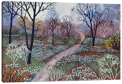 Through Carpets Of Snowdrops Canvas Art Print - Best Selling Floral Art