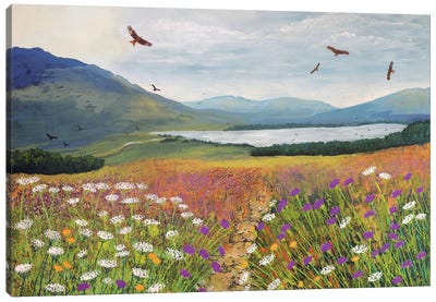 Red Kites Over Loch Tulla Canvas Art Print - Jo Grundy