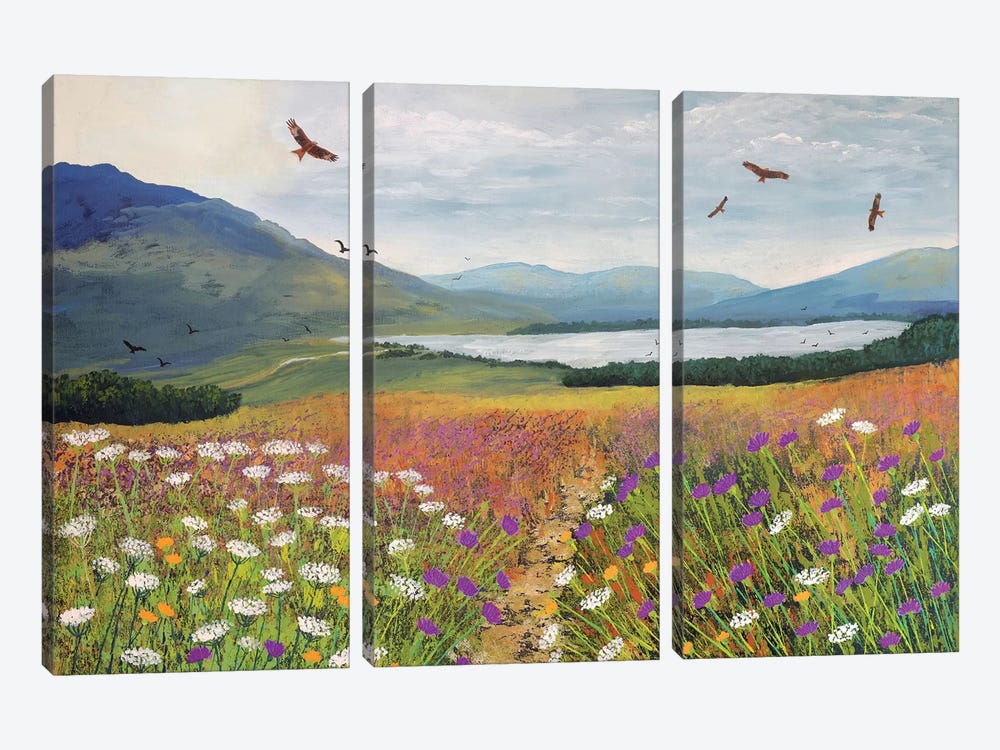 Red Kites Over Loch Tulla by Jo Grundy 3-piece Canvas Wall Art