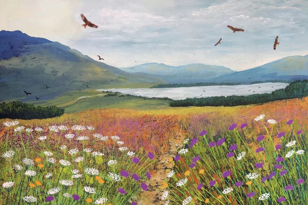 Jo Grundy: Red Kites Over Loch Tulla by Jo Grundy