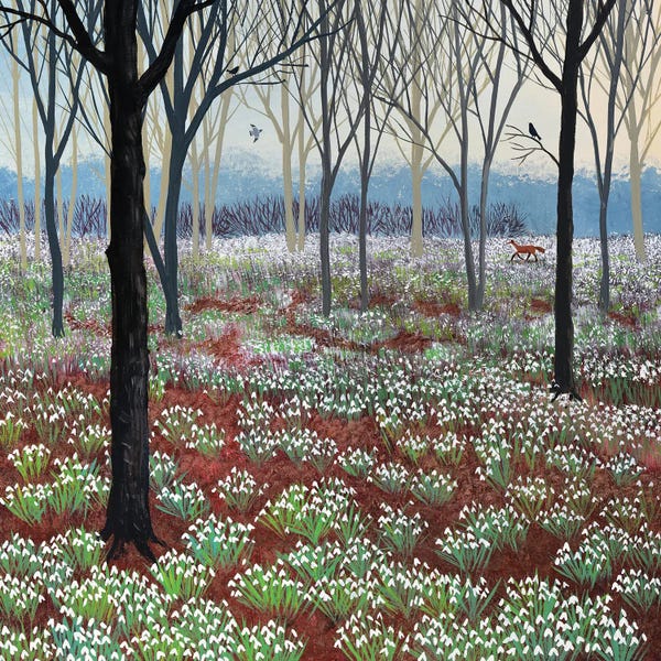 Jo Grundy: A Hope Of Snowdrops by Jo Grundy