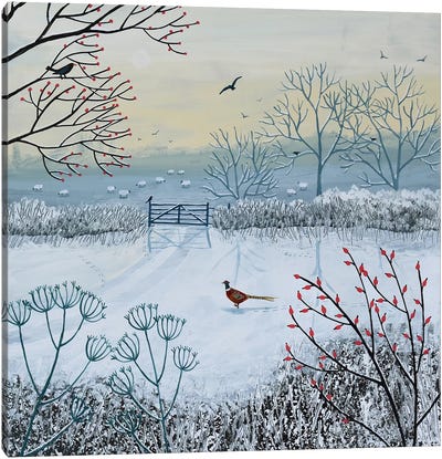 Snowy Morning Canvas Art Print - Field, Grassland & Meadow Art