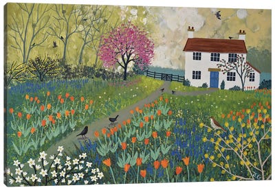 Spring At Tulip Cottage Canvas Art Print - Jo Grundy