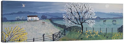 Spring Moon Canvas Art Print - Field, Grassland & Meadow Art