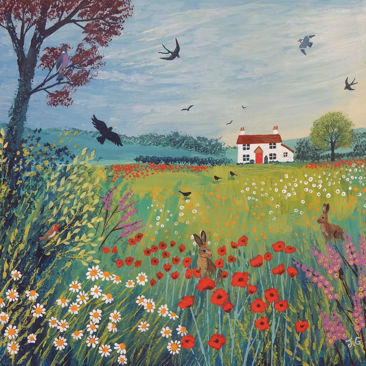 The House By Summer Meadow