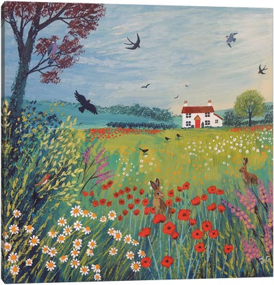 The House By Summer Meadow Canvas Art Print - Folk Art