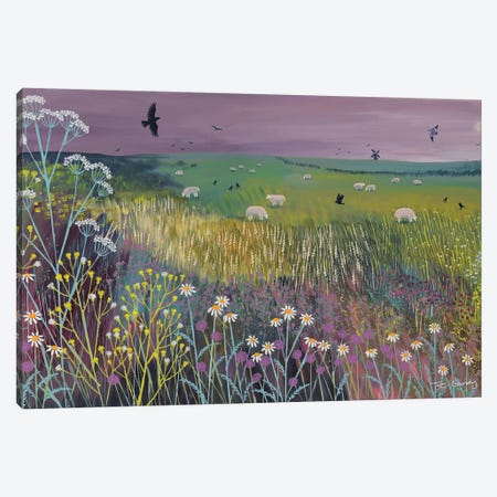 Meadow Breeze Canvas Print #JOG37} by Jo Grundy Canvas Print
