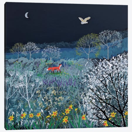 Spring Night Canvas Print #JOG55} by Jo Grundy Art Print