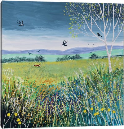 Approaching Storm Canvas Art Print - Field, Grassland & Meadow Art
