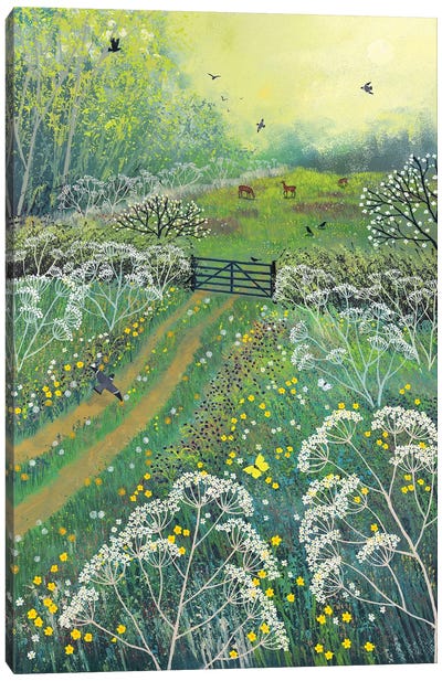 The Gate To May Meadow Canvas Art Print - Field, Grassland & Meadow Art