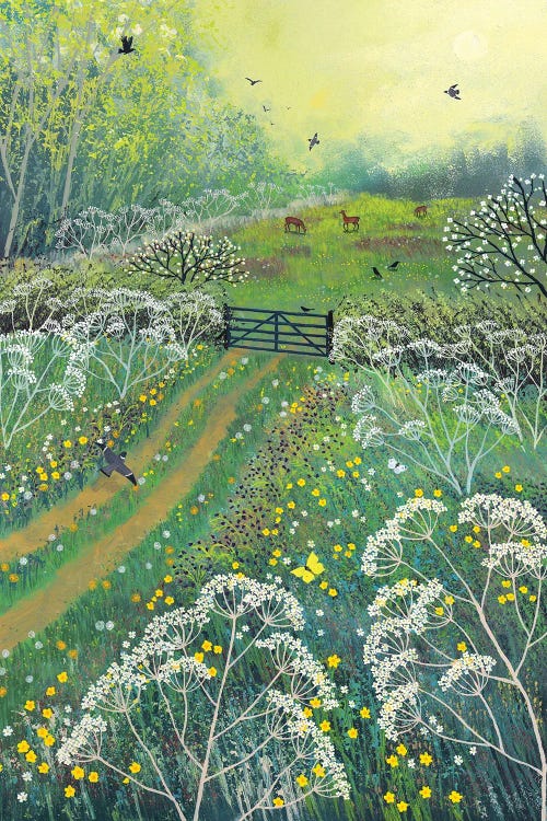 The Gate To May Meadow