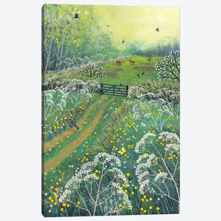 The Gate To May Meadow Canvas Print #JOG74} by Jo Grundy Canvas Art Print