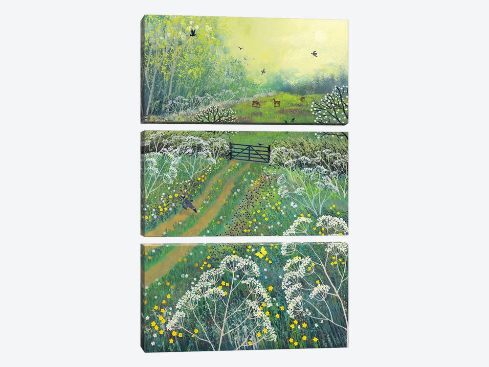 The Gate To May Meadow by Jo Grundy 3-piece Canvas Artwork