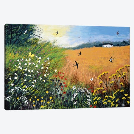 Harvest Swallows Canvas Print #JOG82} by Jo Grundy Art Print