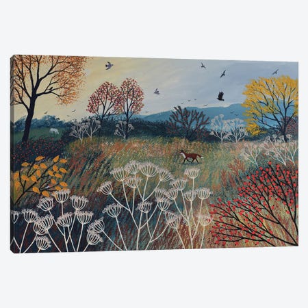 Across Autumn Meadow Canvas Print #JOG84} by Jo Grundy Canvas Art