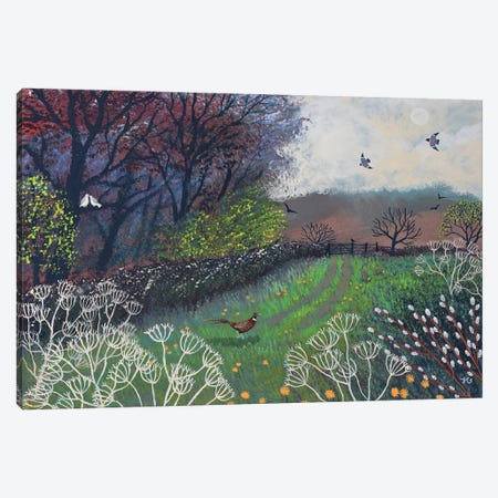 Whispers Of Spring Canvas Print #JOG87} by Jo Grundy Canvas Art