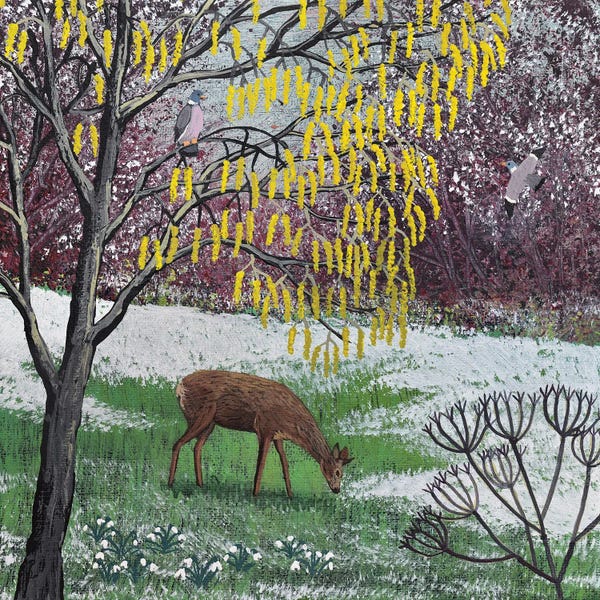 Jo Grundy: By The Catkin Tree by Jo Grundy