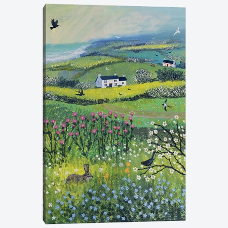Nestled In The Meadow Canvas Print #JOG95} by Jo Grundy Canvas Art Print
