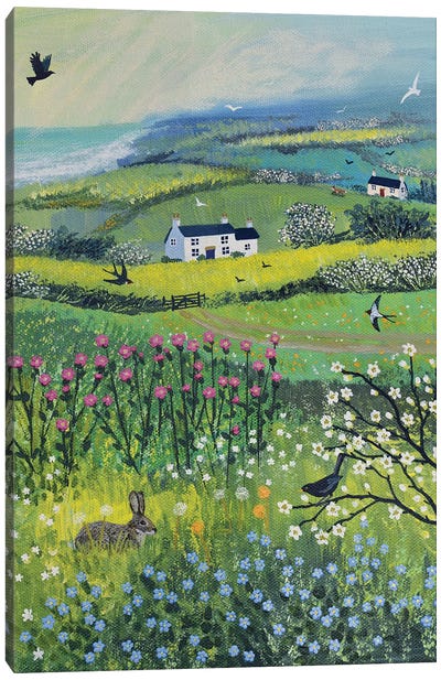 Nestled In The Meadow Canvas Art Print - Countryside Art