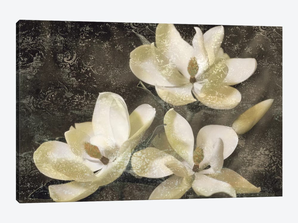 The Magnolia Tree by John Seba 1-piece Art Print