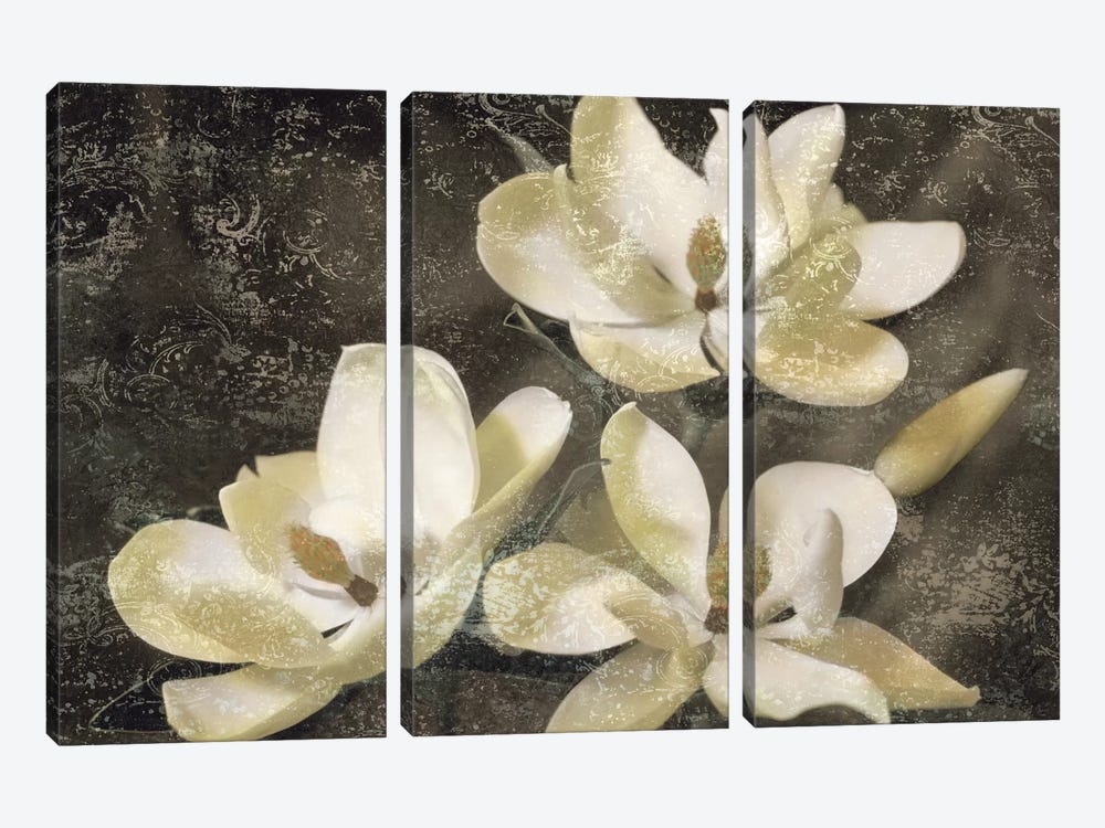 The Magnolia Tree by John Seba 3-piece Canvas Print