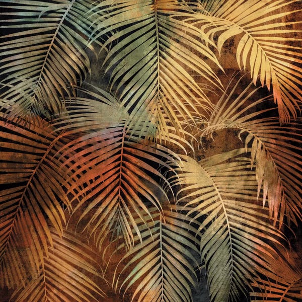 John Seba: The Seychelles II by John Seba