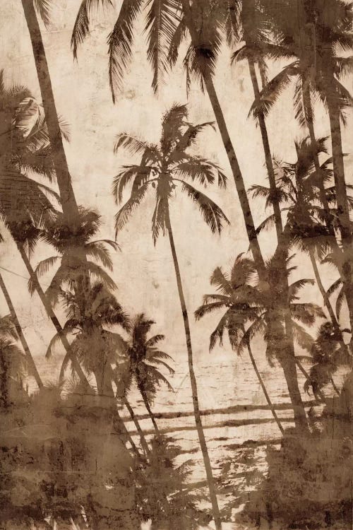 Trade Winds I by John Seba wall art