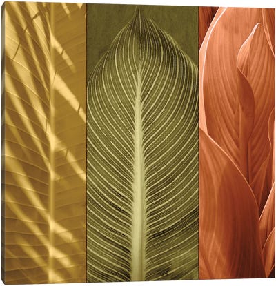 Tropical Trio II Canvas Art Print - Green Leaves 