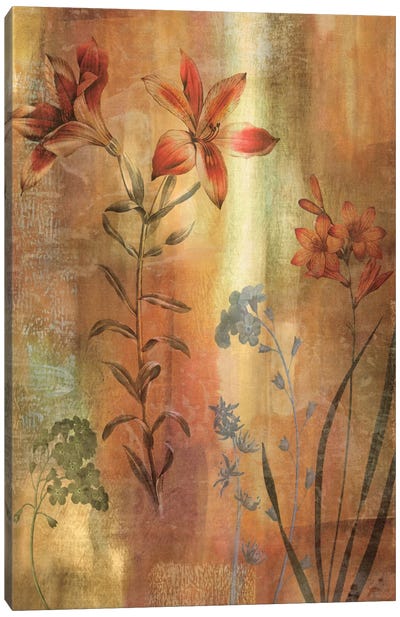 Tulip Garden I Canvas Art Print - John Seba