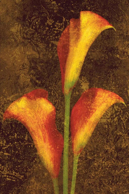 Callas by John Seba wall art