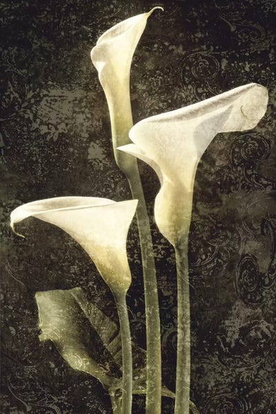 John Seba: Callas II by John Seba