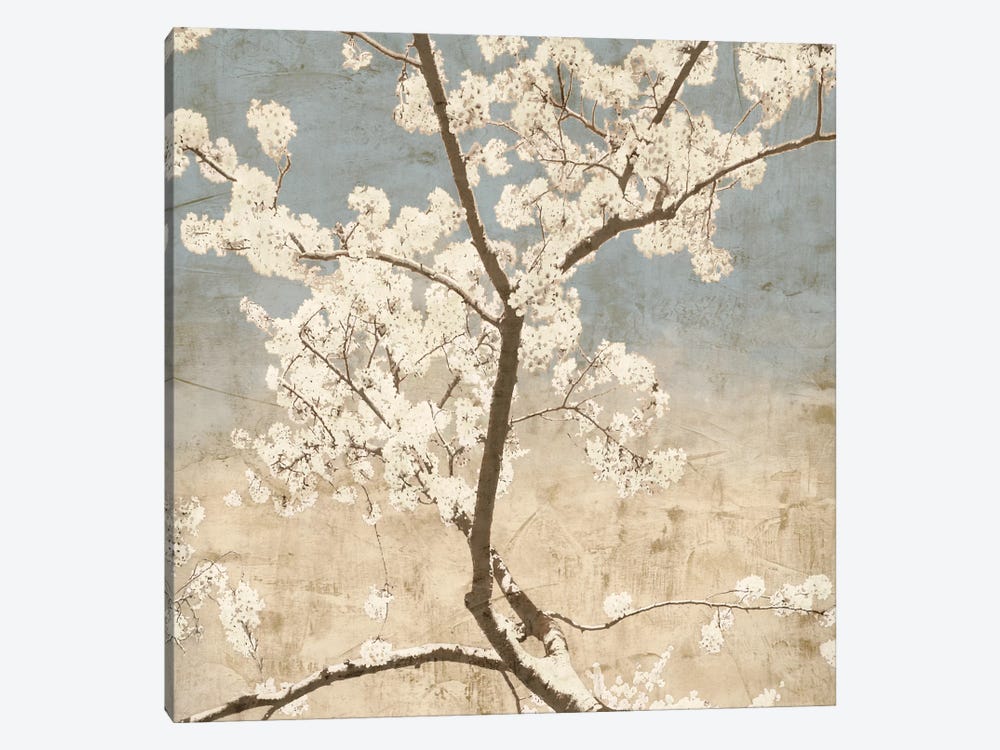 Cherry Blossoms I by John Seba 1-piece Canvas Artwork