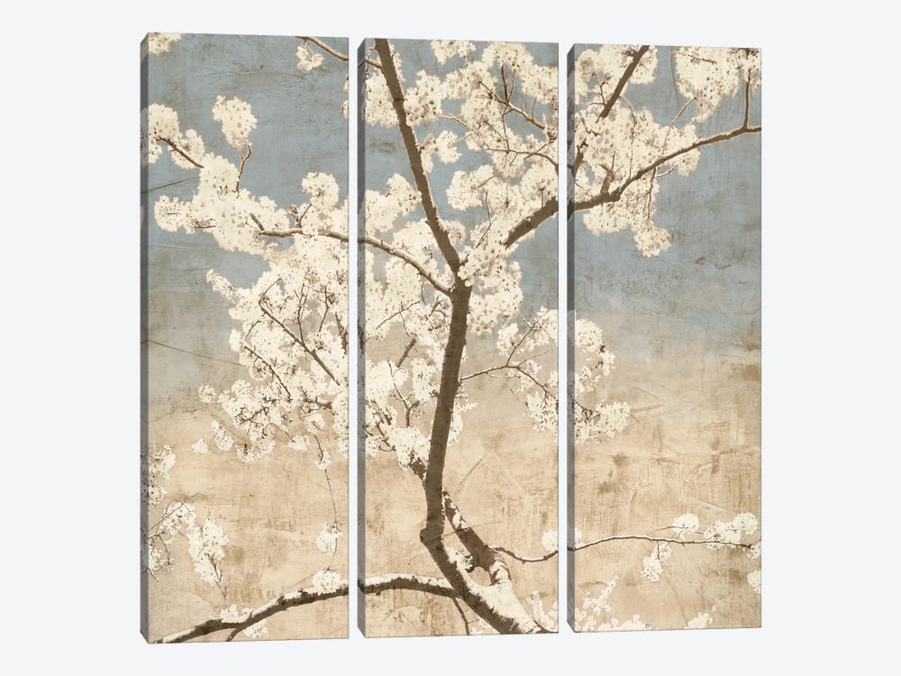 Cherry Blossoms I by John Seba 3-piece Canvas Artwork