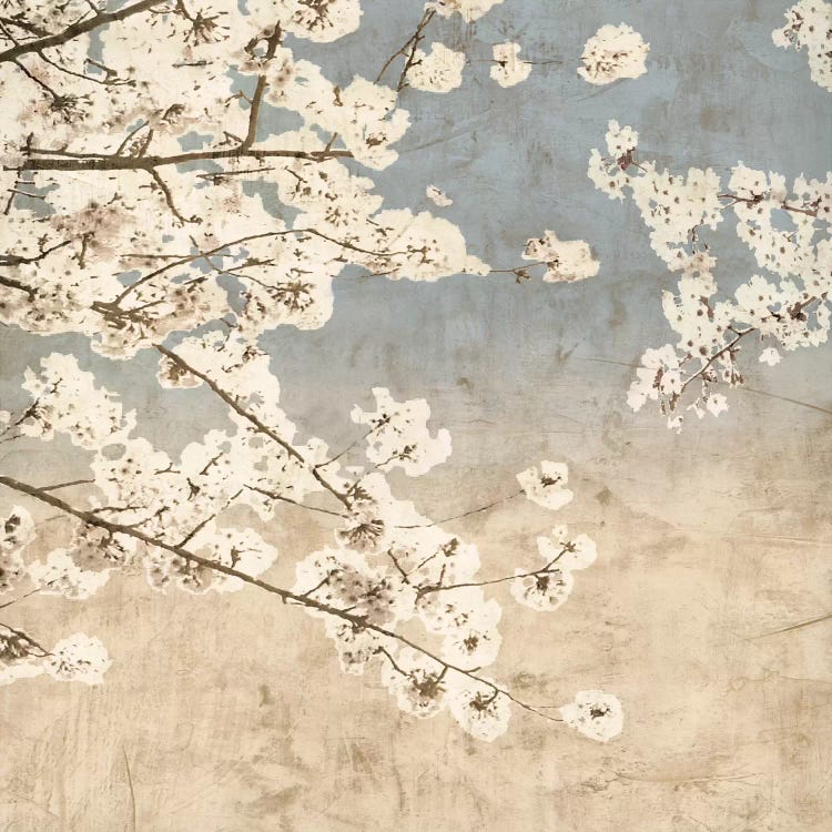 Cherry Blossoms II by John Seba wall art