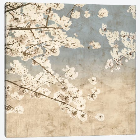 Cherry Blossoms II Canvas Print #JOH19} by John Seba Art Print