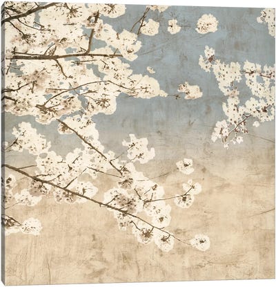 Cherry Blossoms II Canvas Art Print - Cream Art