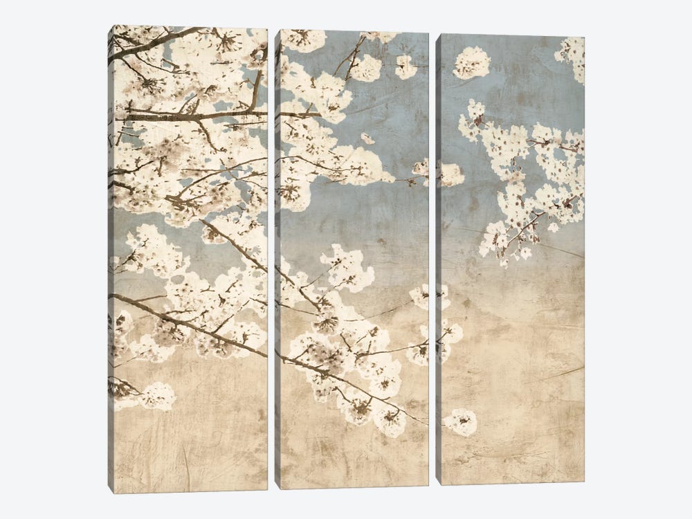Cherry Blossoms II by John Seba 3-piece Art Print
