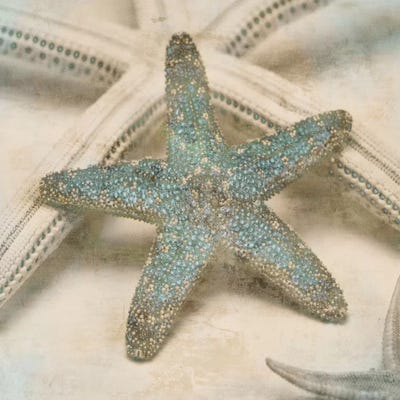 Coastal Gems III by John Seba framed wall art