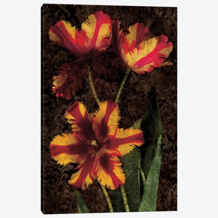 Decorative Tulips I Canvas Print #JOH25} by John Seba Art Print