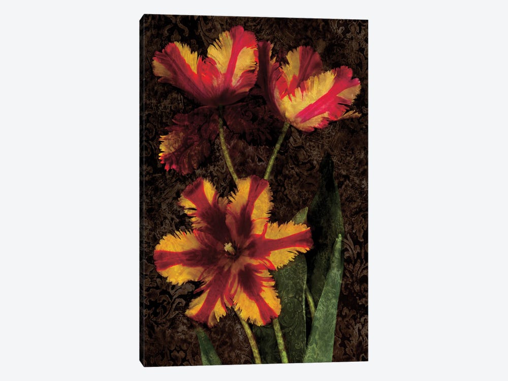 Decorative Tulips I by John Seba 1-piece Canvas Art