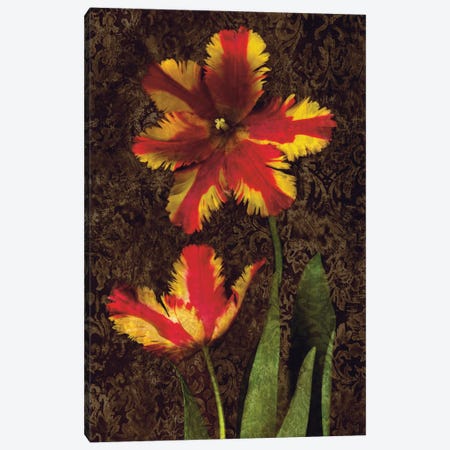 Decorative Tulips II Canvas Print #JOH26} by John Seba Art Print